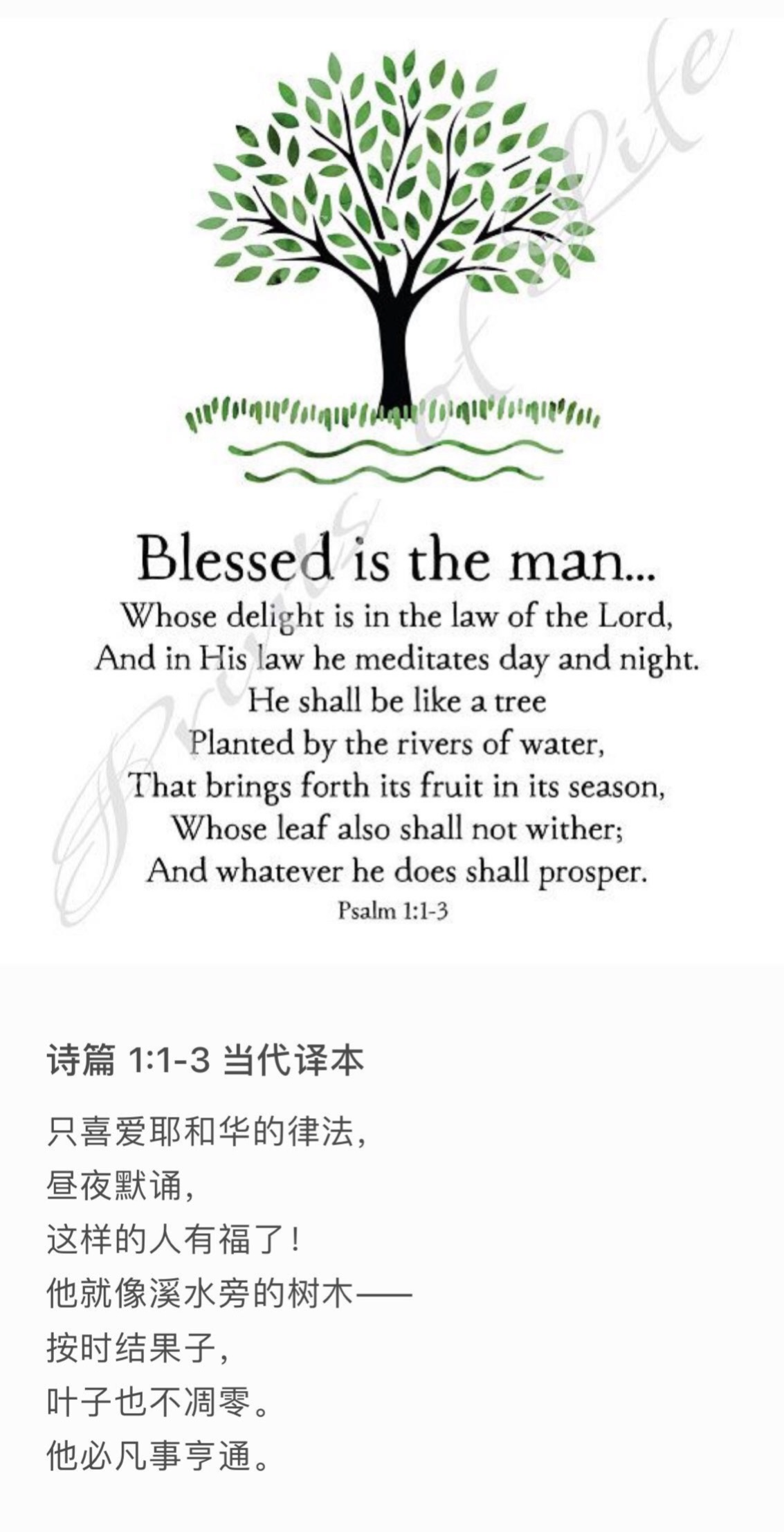 诗篇 1:3 他要像一棵树栽在溪水旁，按时候结果子，叶子也不枯干。凡他所作的尽都顺利。