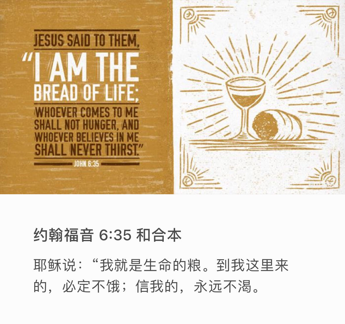 ‪约翰福音‬6:35 耶稣说：“我就是生命的粮。到我这里来的，必定不饿；信我的，永远不渴。