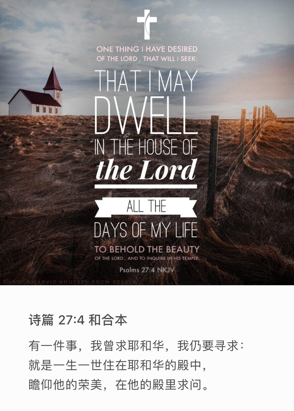 诗篇27:4 有一件事，我曾求耶和华，我仍要寻求：就是一生一世住在耶和华的殿中，瞻仰他的荣美，在他的殿里求问。
