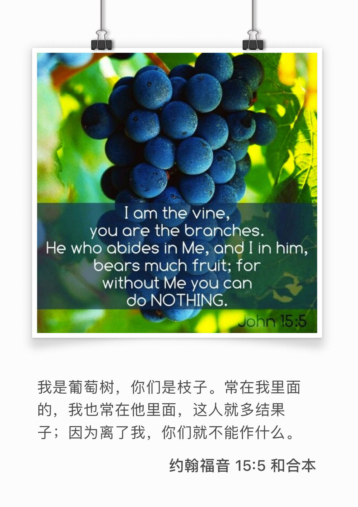 约翰福音15:5 我是葡萄树，你们是枝子；常在我里面的，我也常在他里面，这人就多结果子；因为离了我，你们就不能作什么。
