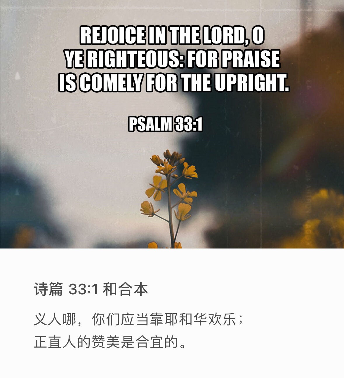 诗篇33:1 颂赞之歌 义人哪，你们应当靠耶和华欢乐，正直人的赞美是合宜的。