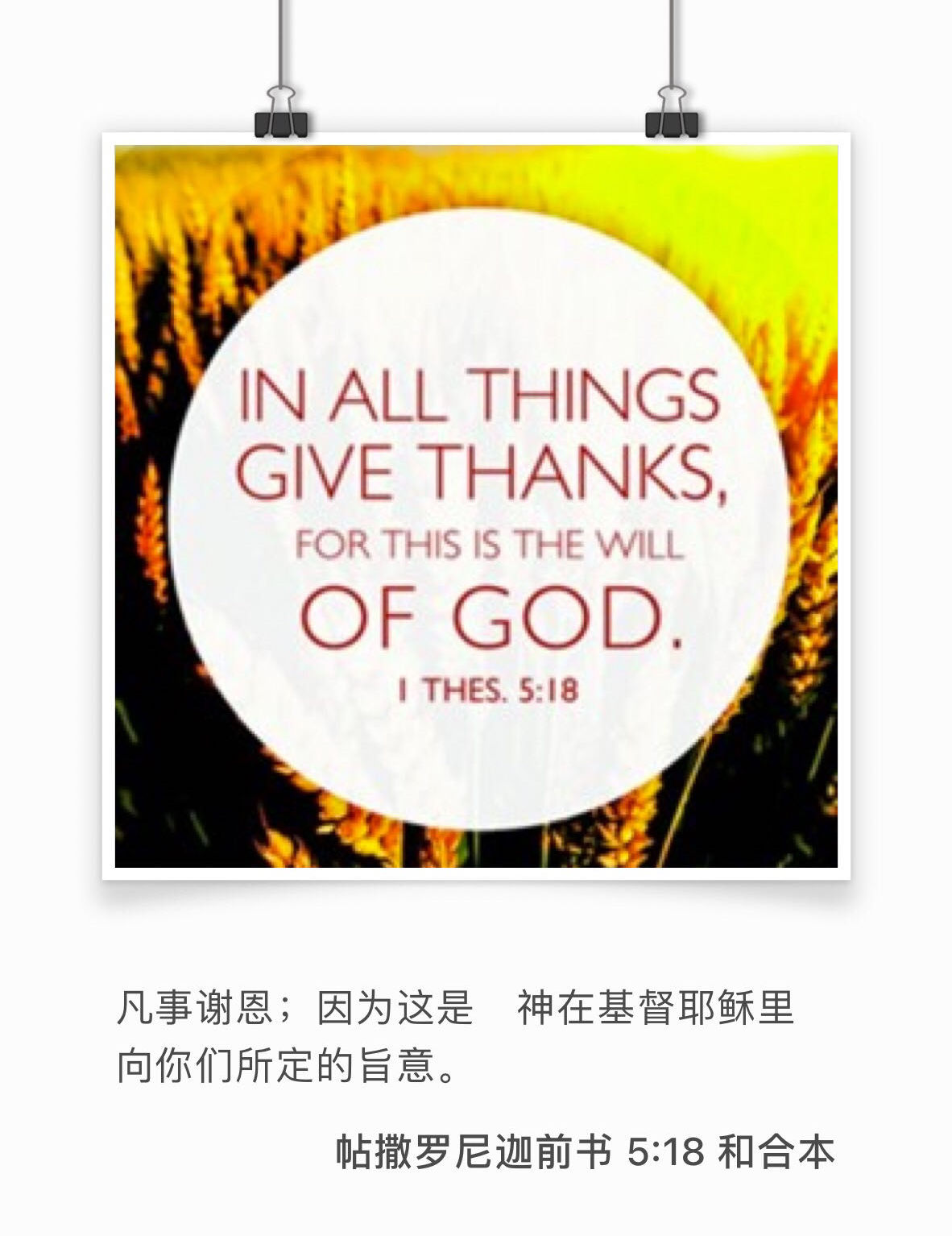 帖前 5:18 凡事谢恩，因为这是　神在基督耶稣里向你们所定的旨意。