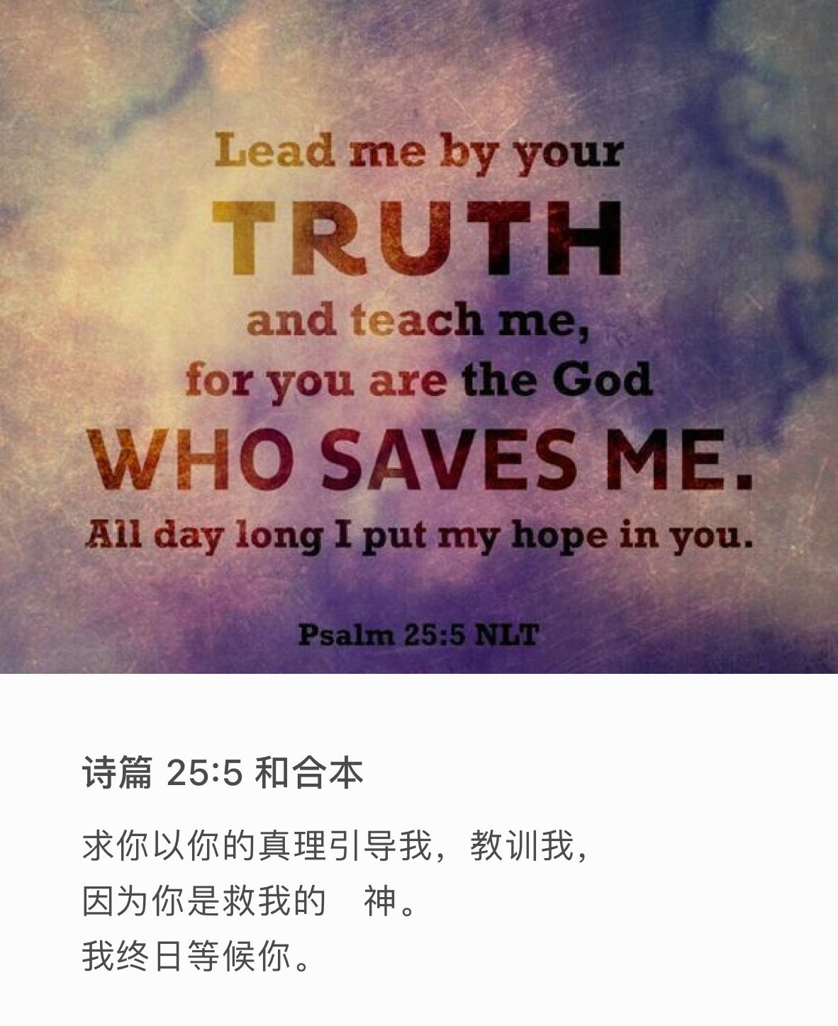 诗篇25:5 求你以你的真理引导我，教训我，因为你是救我的　神，我终日等候你。