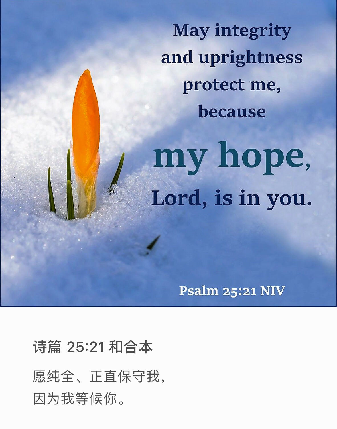诗篇 25:21 愿纯全正直保守我，因为我等候你。