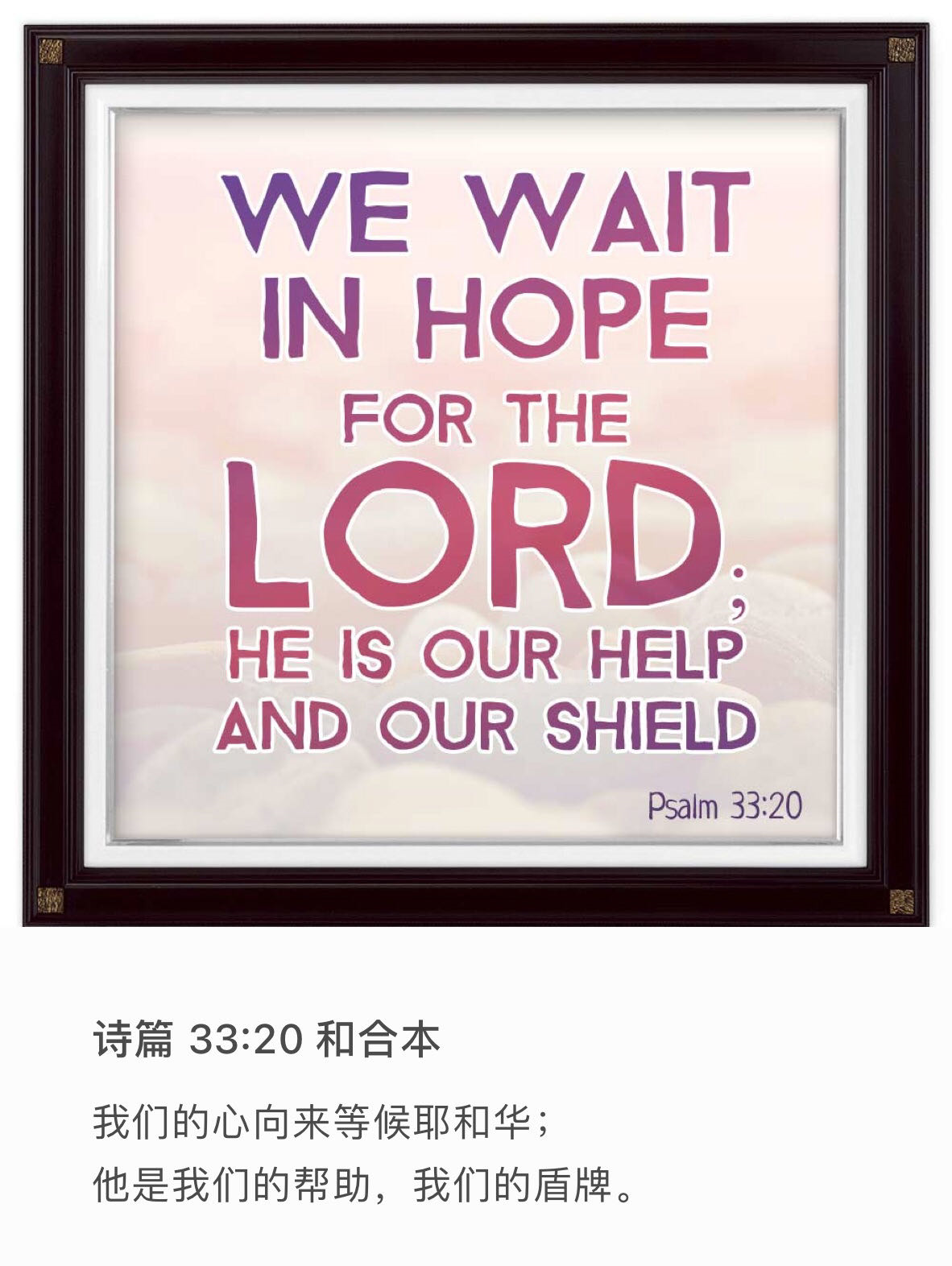 诗篇 33:20 我们的心向来等候耶和华，他是我们的帮助，我们的盾牌。