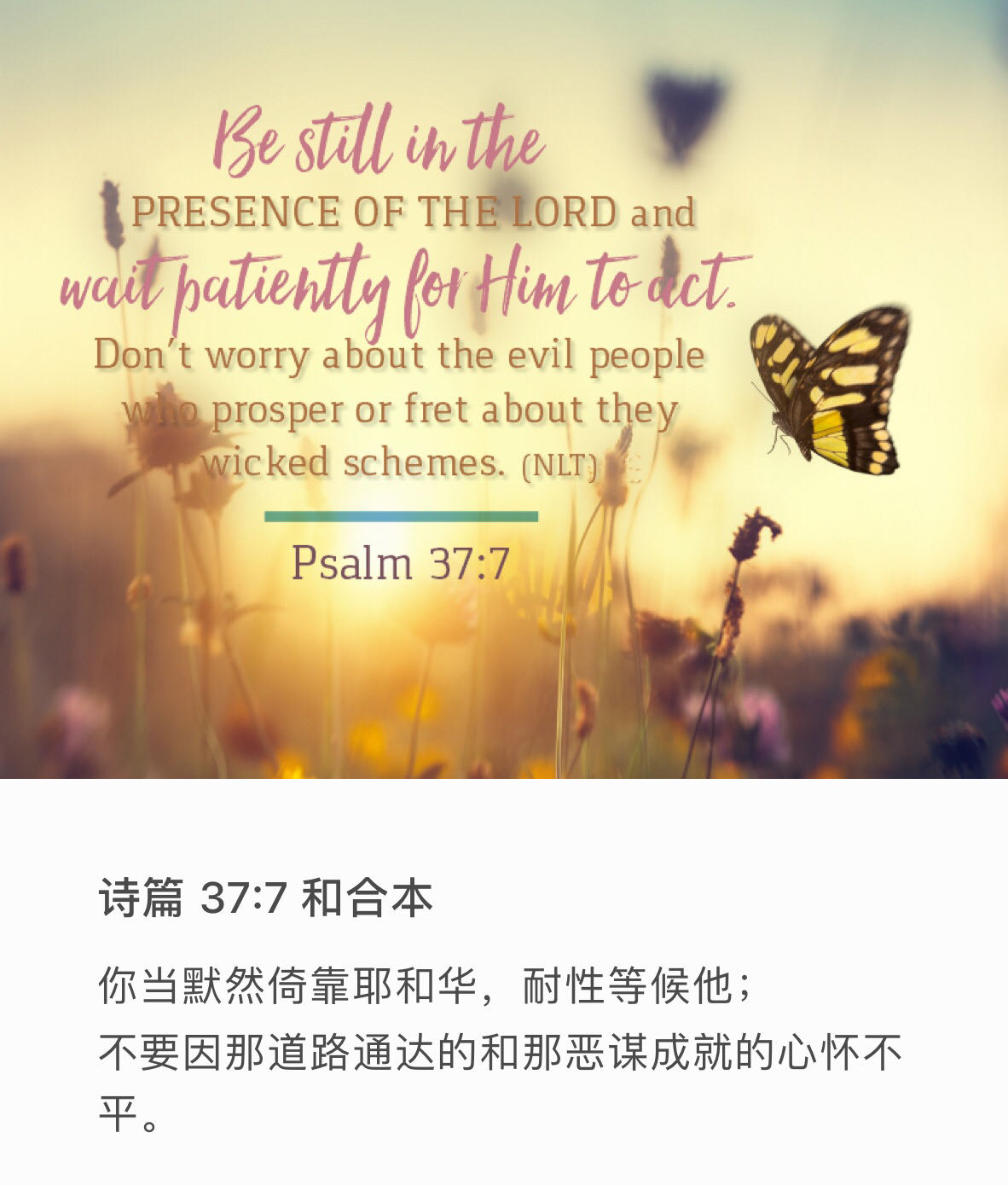 诗篇 37:7 你当默然倚靠耶和华，耐性等候他。不要因那道路通达的和那恶谋成就的心怀不平。
