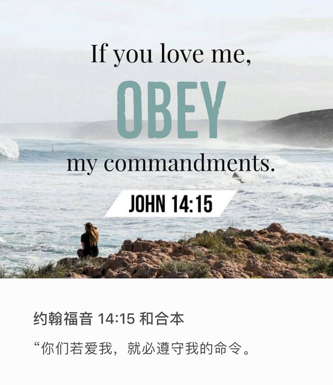 约翰福音 14:15  “你们若爱我，就必遵守我的命令。