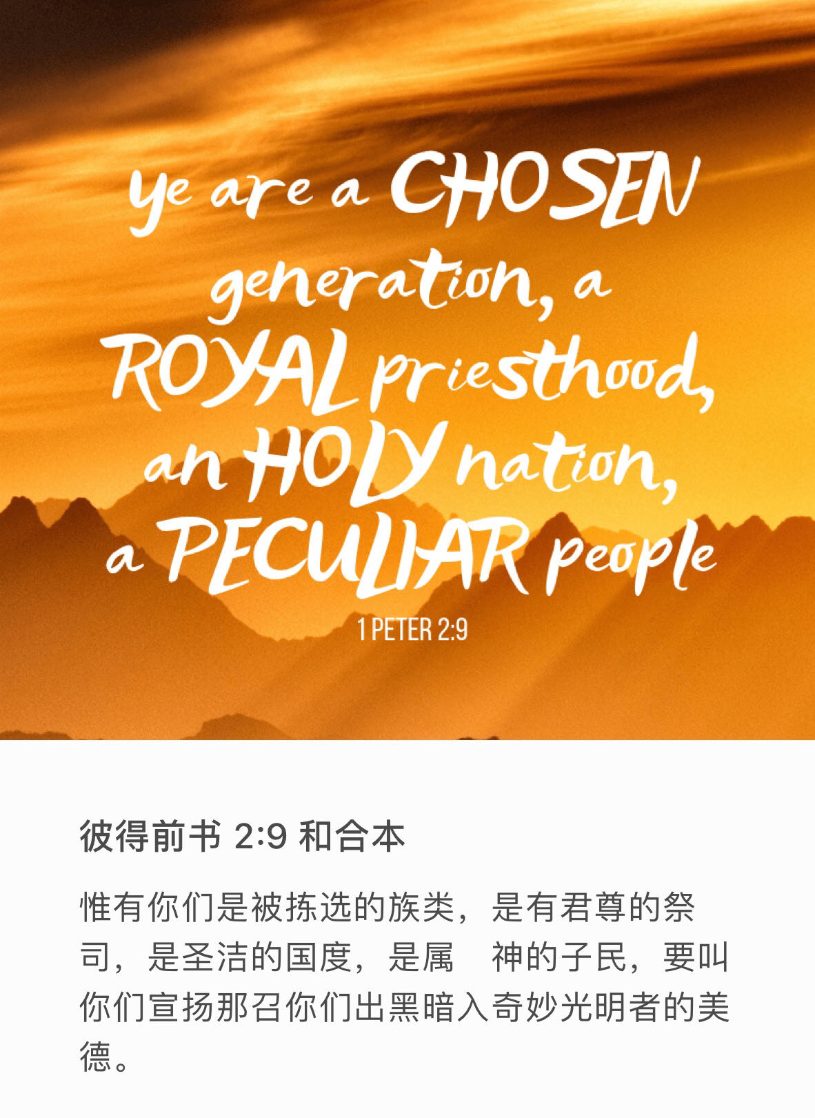 彼得前书2:9 惟有你们是被拣选的族类，是有君尊的祭司，是圣洁的国度，是属　神的子民，要叫你们宣扬那召你们出黑暗、入奇妙光明者的美德。