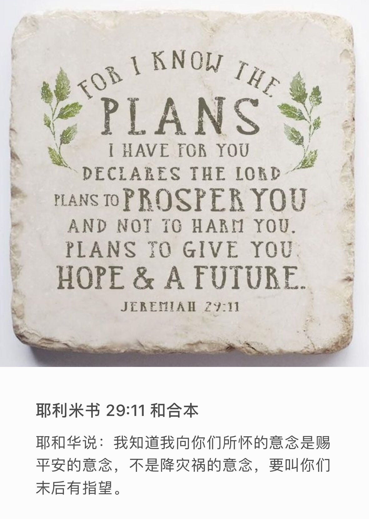 耶利米书29:11 耶和华说：我知道我向你们所怀的意念，是赐平安的意念，不是降灾祸的意念，要叫你们末后有指望。